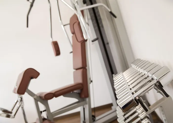 酒店 Plaza Messe 3*